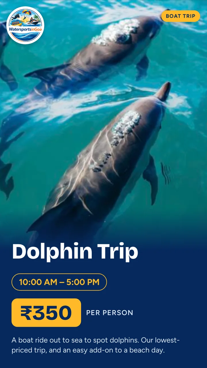 Dolphin Trip package poster with price, timings and inclusions