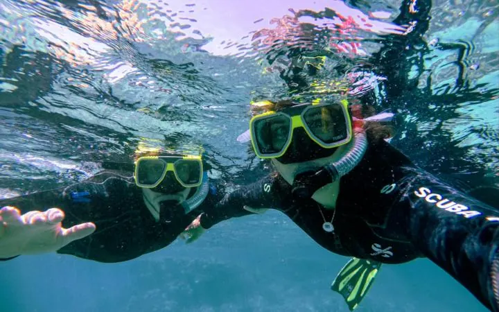 Two snorkelers at the surface wearing masks and snorkels